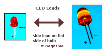 led_leads.gif